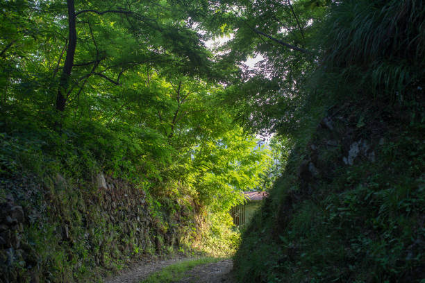 istock View of walking tracks through rural countryside 1149360862