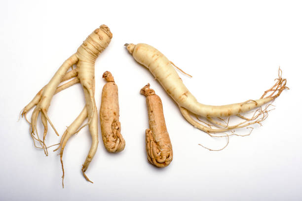 frische und getrocknete ginseng-wurzeln auf weiß - ginseng stock-fotos und bilder