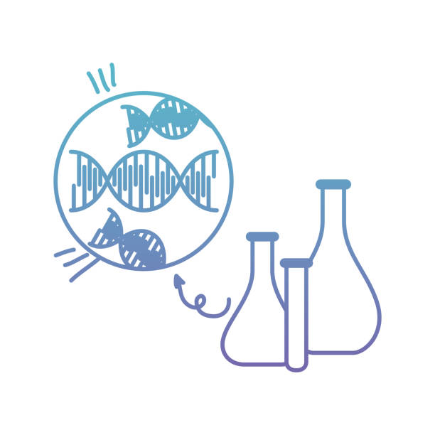 dna kettenwissenschaft mit röhrentest - dna helix helix model evolution stock-grafiken, -clipart, -cartoons und -symbole