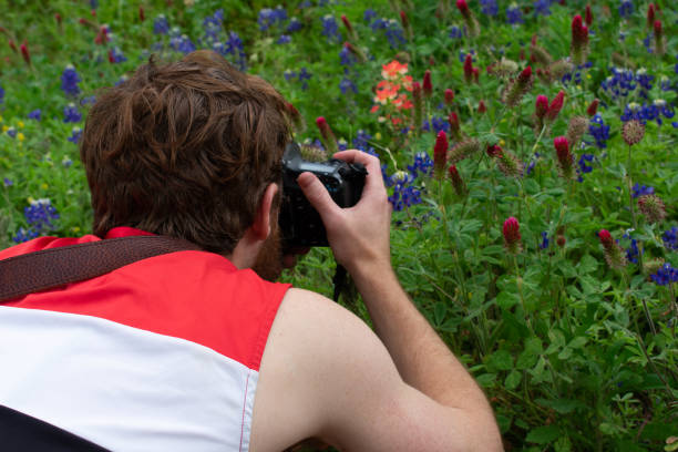 istock Man taking pictures of Texas bluebonnets during spring bloom 1149378448