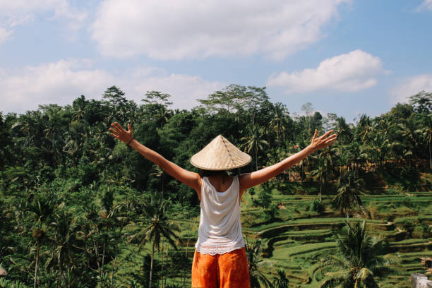 istock Amazing view over the rice fields in Indonesia 1149382898