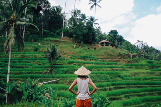 istock Amazing view over the rice fields in Indonesia 1149383090