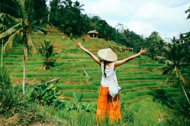 istock Amazing view over the rice fields in Indonesia 1149383756