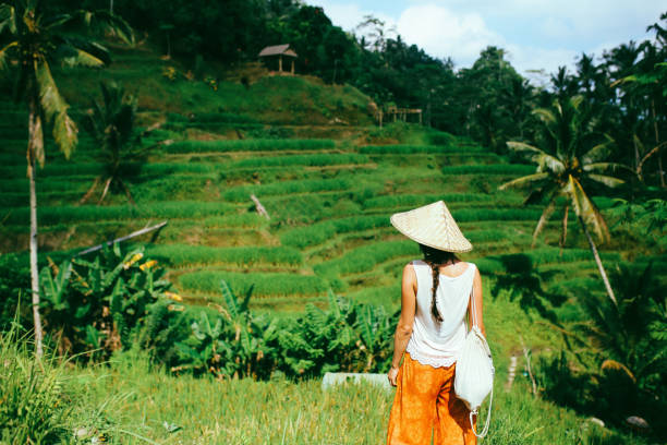 istock Amazing view over the rice fields in Indonesia 1149383784