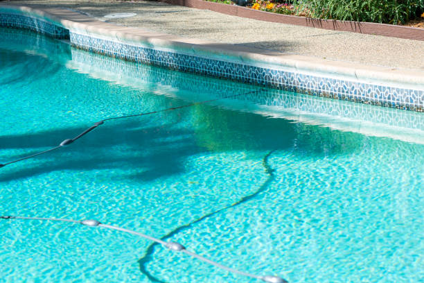 istock Backyard swimming pool floating cleaning equipment. 1149384022