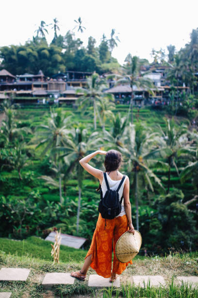 istock A view over the rice fields in Indonesia 1149384857