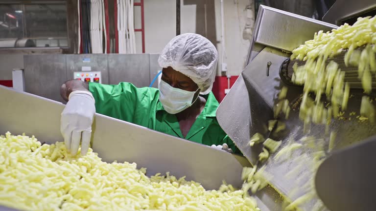 African Worker at a Food Factory Checking the Freshly Baked Chips