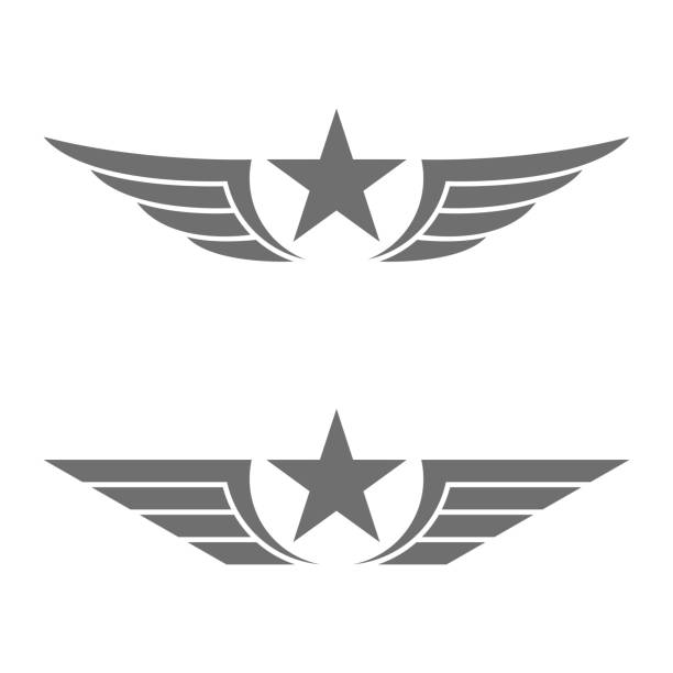 ilustraciones, imágenes clip art, dibujos animados e iconos de stock de emblema estrella con alas en color negro - grunge shield coat of arms insignia