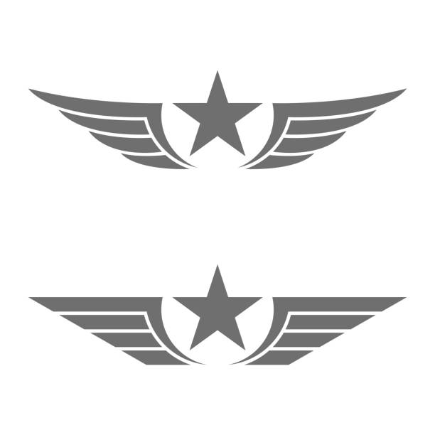 검은 색 날개와 엠 블 럼 스타 - army military sign insignia stock illustrations