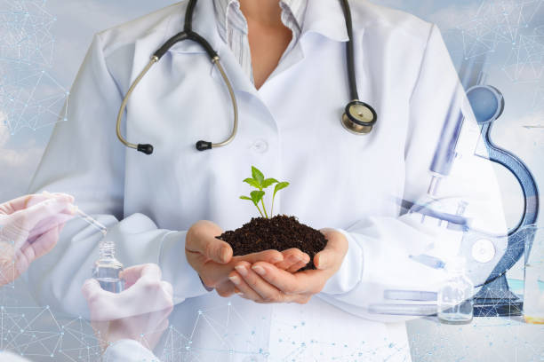 istock Doctor holding a sprout . 1149389542