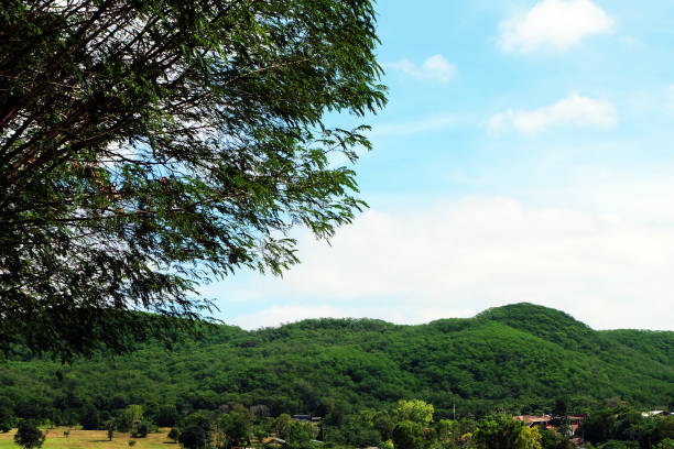 Green Forest. Beautiful Mountain Landscape with Blue Sky Clouds Background Great for Any Use.