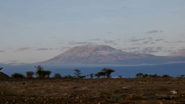 istock sunrise shot of mt kilimanjaro at amboseli 1149397708