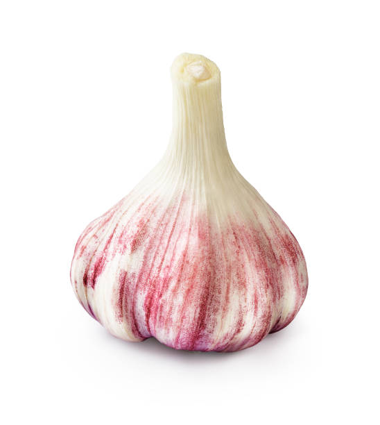 istock Fresh garlic isolated on white background 1149399566