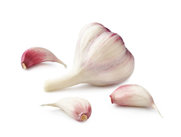 istock Fresh garlic with garlic cloves isolated on white background 1149399636