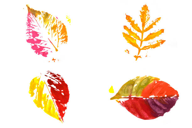 Colorful print of leaf isolated on white background