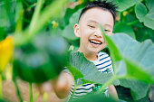 農場から新鮮なカボチャを収穫アジアの少年