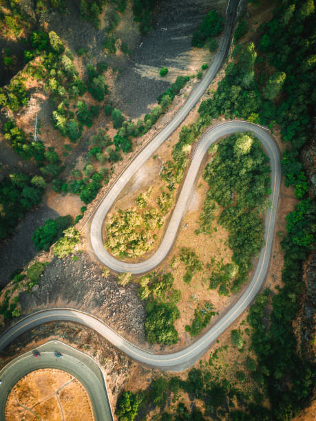 winding road in oregon at dusk