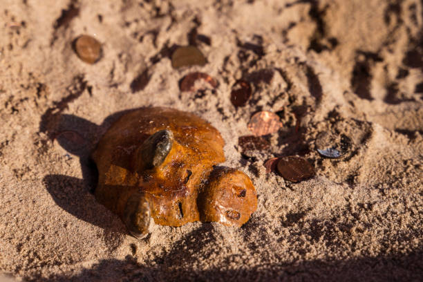 Treasure hunting: piggy bank has hidden underground