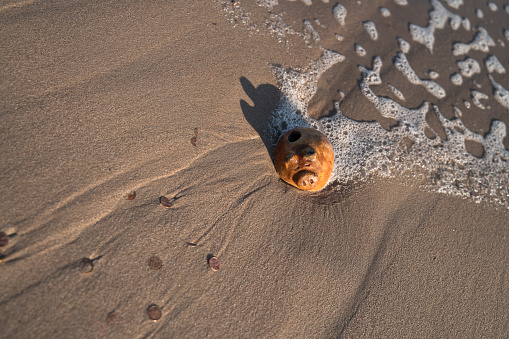 The treasure is discovered. Ocean uncovered the old piggy bank hidden in the sand on a beach.
