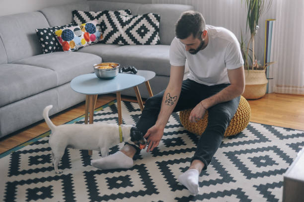 istock Young men at home with his dog 1149412947