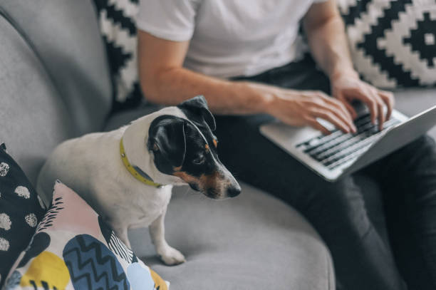 istock Young men at home with his dog 1149413099