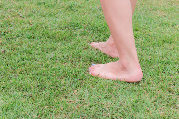istock leg barefoot step on the green grass 1149415891