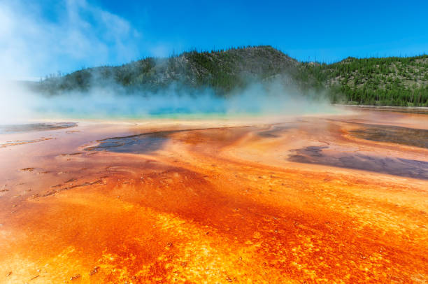 옐로스톤 그랜드 프리즈 매 틱 스프링 - midway geyser basin 뉴스 사진 이미지