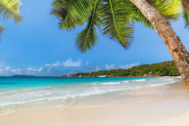 istock Paradise beach in tropical island 1149416036
