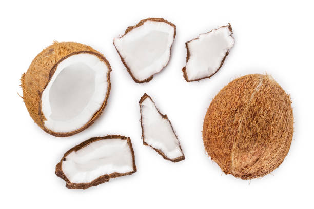 istock coconut isolated on white background. Top view. Flat lay 1149423557