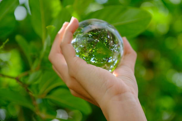 istock Crystal ball clear in hand 1149426296