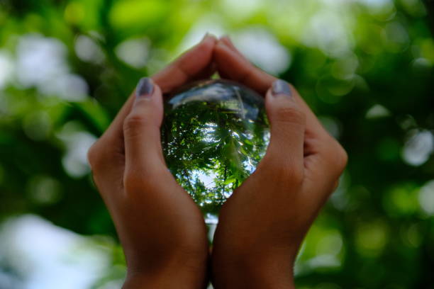 istock Crystal ball clear in hand 1149426389