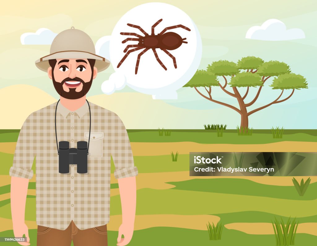 Gelukkige man in Cork Hat, Animal Hunter denkt over Spider, Safari landschap, Acacia paraplu, Afrikaans platteland, vector illustratie - Royalty-free Acacia vectorkunst