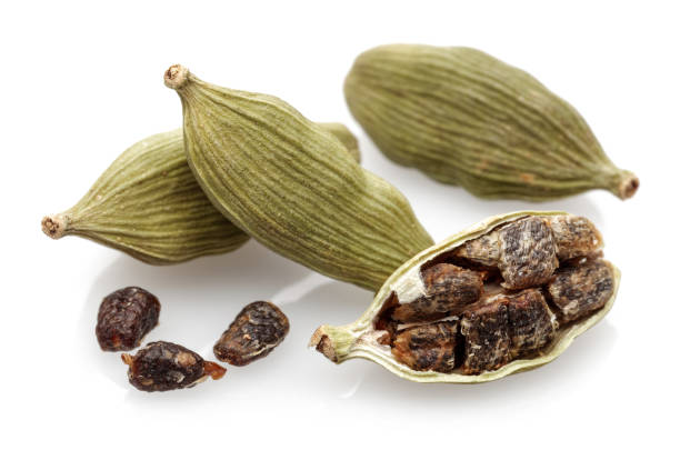 cardamom pods and seeds isolated on white - cardamom spice indian culture isolated imagens e fotografias de stock