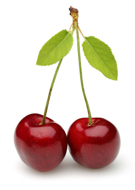 istock Ripe red cherries with green leaves isolated 1149433179