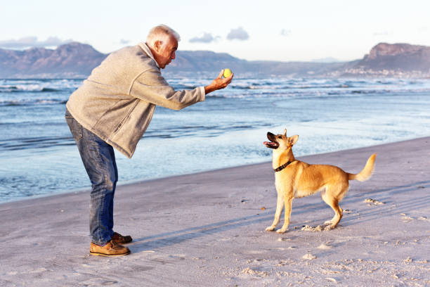 istock Sit! Senior man training dog with ball on beach 1149433884
