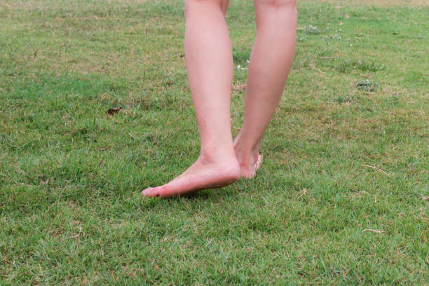 istock leg barefoot step on the green grass 1149436396