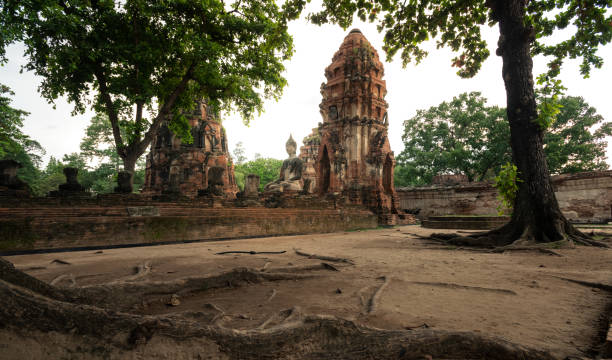 wat maha tha, parco storico di ayutthaya, thailandia - wat maha that foto e immagini stock