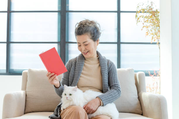 старшая леди, глядя на белую кошку на колене - book reading white women стоковые фото и изображения