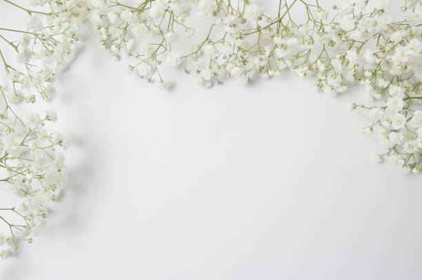 istock Mock up Composition of white flowers rustic style with a place for your text. Flat lay, top view photo mock up 1149462088