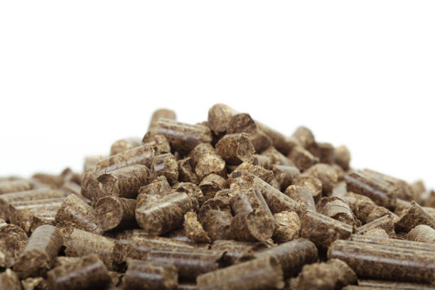 istock stack of wooden pellets for bio energy, white background, isolated 1149468856