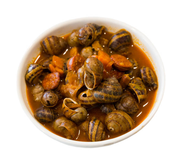 istock Home style snails stewed with chorizo 1149470156