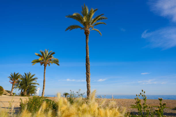 istock Paradis or Paraiso beach playa in Vila Joiosa 1149473158