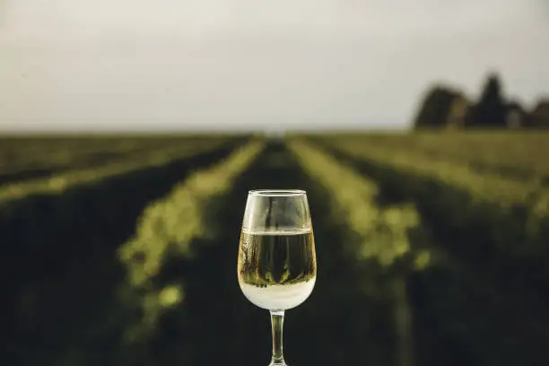 A rare dessert wine produced from the juice of naturally frozen grapes that have been picked in the middle of a cold Canadian winter