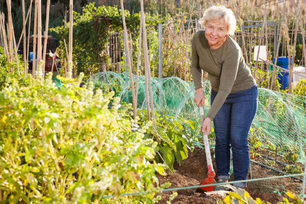 istock Woman with hoe weeding garden bed 1149481714