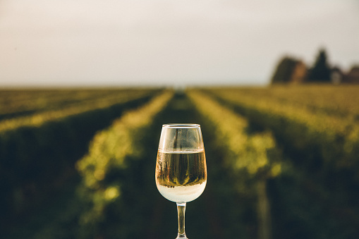 A rare dessert wine produced from the juice of naturally frozen grapes that have been picked in the middle of a cold Canadian winter