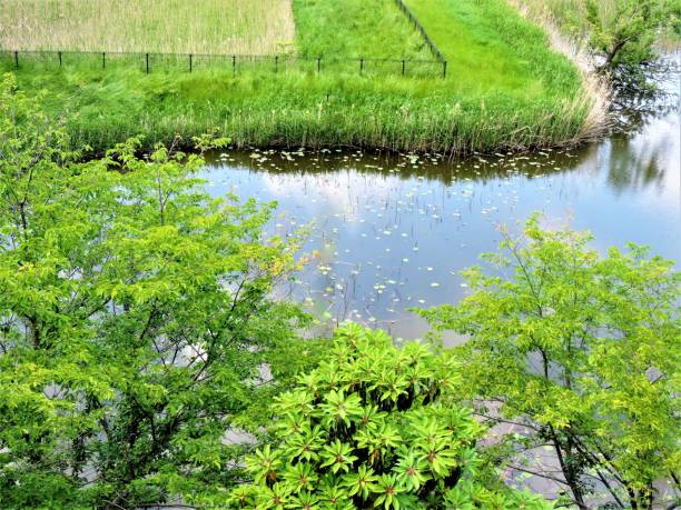 istock Small beautiful pond in sunny spring day 1149486956