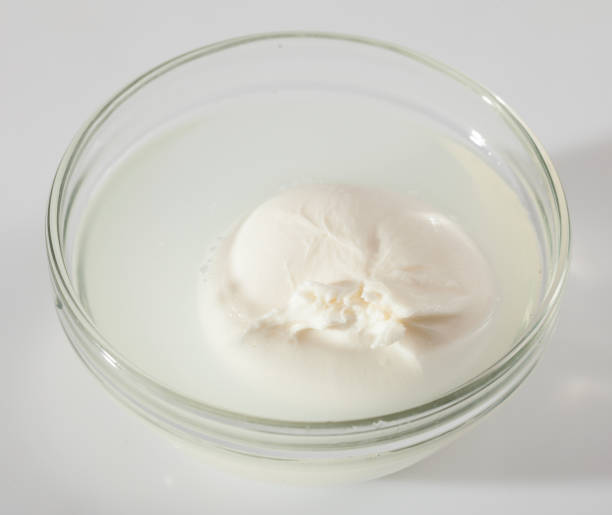 istock Italian cheese burrata 1149492945