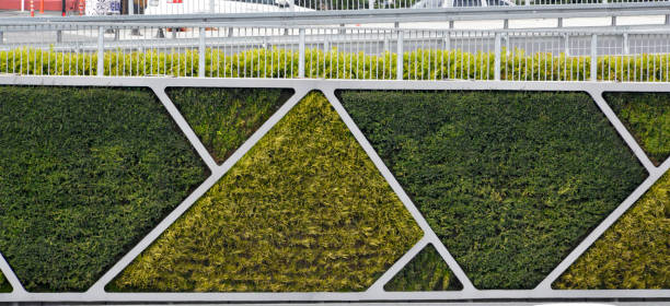 istock Green wall along the wall next to the highway 1149493618