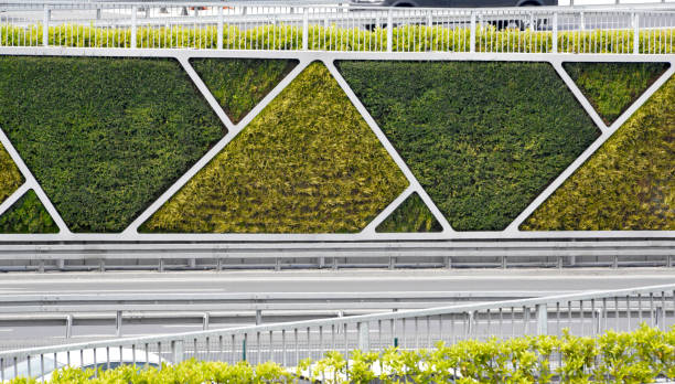 Green wall along the wall next to the highway