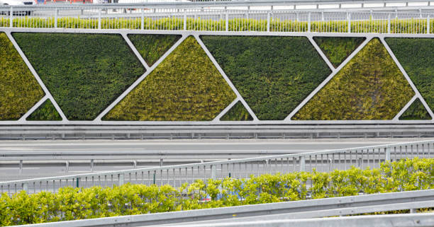 istock Green wall along the wall next to the highway 1149493629
